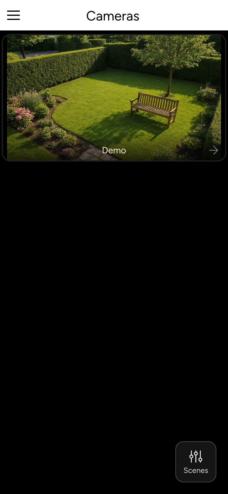 Camera overview with one live image